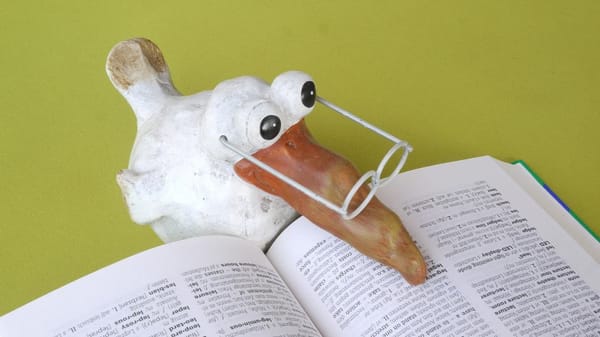 Un canard en train de lire le livre "La Chose La Plus Importante", d'Howard Marks.